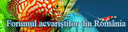 Forum de acvaristica - Pesti de acvariu - Powered by vBulletin